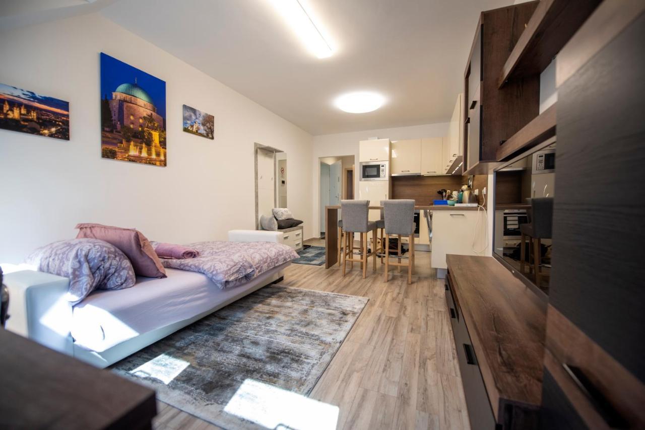 Zsuka Apartman Free Parking 페치 외부 사진